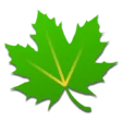 Greenify Pro (Paquete de donación) APK V6.2 Última descarga