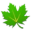 Greenify Pro (Paquete de donación) APK V6.2 Última descarga